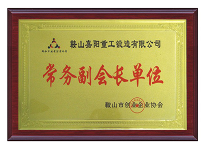 鞍山市創(chuàng  )業(yè)企業(yè)協(xié)會(huì )常務(wù)副會(huì )長(cháng)單位